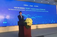 有别于前AlphaGoVS人类对决形式