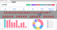 系统正在平台兼容、品牌定制、收费模式、优化