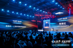 级专精特新小巨人之姿